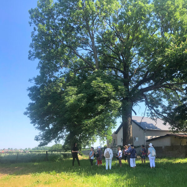 warsztaty_robert_studio_nagran_cierpienie warsztaty_robert_studio_nagran_cierpienie