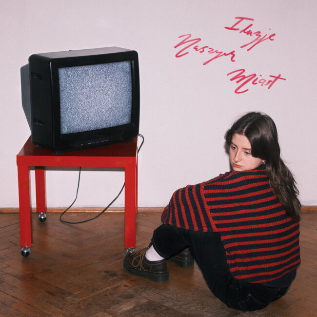 krokodyl-luzje-naszych-miast