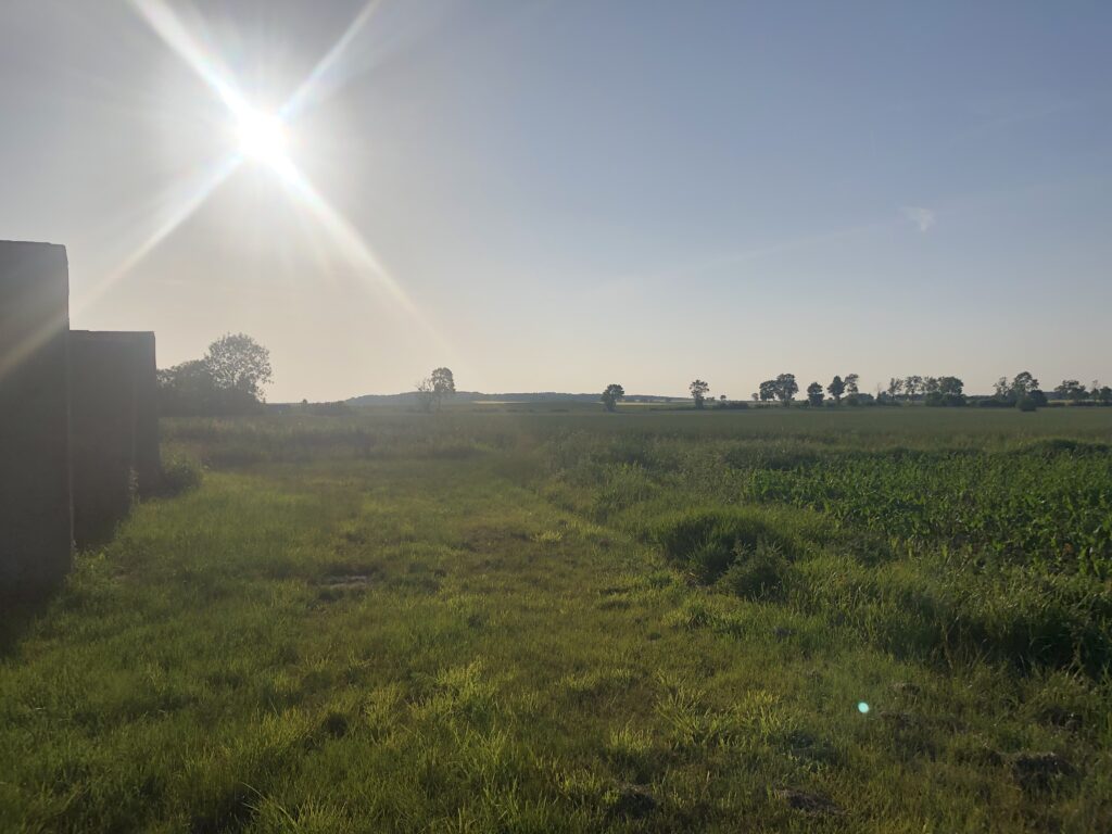 studio-cierpienie-widok-na-pole